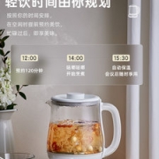 Bear 小熊  养生壶 多功能煮茶器1.5L