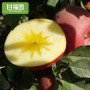 新疆阿克苏 冰糖心苹果10斤75mm-80mm