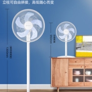 艾美特  5叶立式循环电风扇