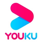 youku优酷 VIP年卡 12个月 优酷黄金视频会员
