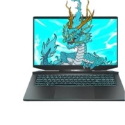 MECHREVO 机械革命 蛟龙7 17.3英寸游戏笔记本电脑（R9-5900HX、16GB、512GB、RTX3060）