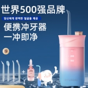 韩国 现代 便携式冲牙器水牙线+4只喷头