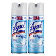 Lysol 进口杀菌消毒喷雾剂2瓶