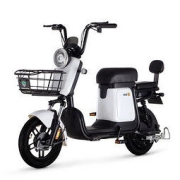 LUYUAN 绿源 翻糖电动自行车 ZFB 48V12A