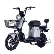 限用户：LUYUAN 绿源 ZFB 翻糖 电动自行车 TDT2112Z 48V24Ah锂电池 静谧灰