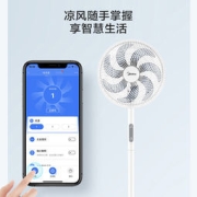 Midea 美的 SAF30DR 落地扇