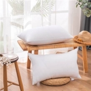 京东极速版:黛恒严选 高弹磨毛枕芯 40*70cm 350克 一对装