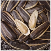 LAO JIE KOU 老街口 瓜子 山核桃味 500g