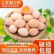 我老家 山林散养土鸡蛋 10枚/盒装约400g