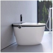 hansgrohe 汉斯格雅 纯境 一体式即热坐便器