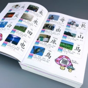 学前1680字 全套4册 看图识字大王 学前班3-5-6岁