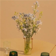 plus会员：FlowerPlus 花加 小飞燕1扎