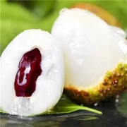 海南妃子笑荔枝 带箱5斤