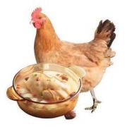 DOYOO 大用 三黄鸡 830g