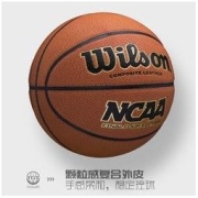Wilson 威尔胜 7号篮球 WTB1233IB07CN