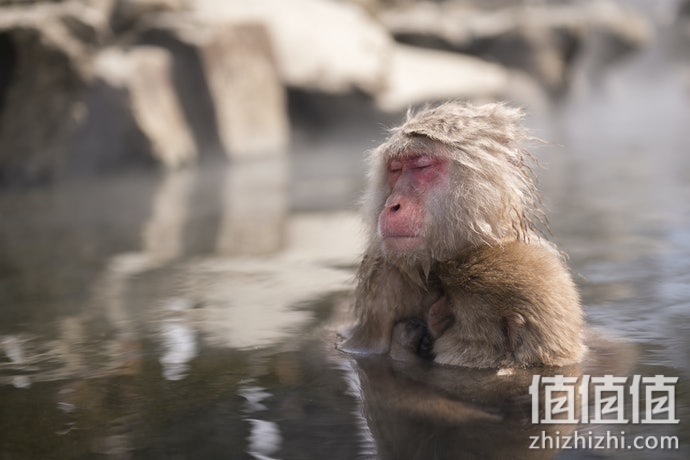 温泉粉如何选择？温泉粉选购指南