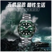 SEA-GULL 海鸥 海洋系列 男士机械表 815.97.6105