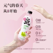 元气森林 樱花白葡萄口味 气泡 480ml*15瓶