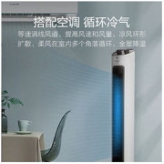 GREE 格力 FL-08X61Bg 塔扇 黑白