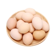 寻鲜鸟 正宗新鲜鸡蛋土鸡蛋 10枚装/盒 约380g
