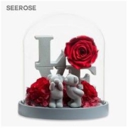 SEEROSE 玫瑰熊公仔永生花 LOVE-甜蜜示爱