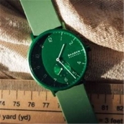 SKAGEN 诗格恩 AAREN KUL?R系列 女士石英表 36mm 极星绿 SKW2804