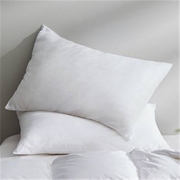 Esprit 埃斯普利特 云朵纤柔软枕 2只装 48*73cm
