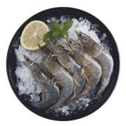 PLUS会员：蓝湃 白对虾 净重600g（11-13cm）*2件