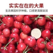 山东红灯已验货大樱桃3斤