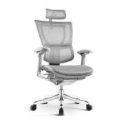 Ergonor 保友办公家具 优旗舰版 电脑椅 灰框-银白色（美国网）