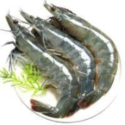 PLUS:府哥  冻黑虎虾16只装  400g×3盒装
