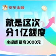 鸽子腿：京东金融618 瓜分1亿白条额度 每日限量抽百万好券
