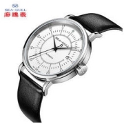 SEA-GULL 海鸥 SeaGull 海鸥 艺术家系列 男士机械腕表 819.17.6045