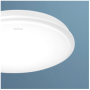 OPPLE 欧普照明 LED吸顶灯具 19瓦适10-15平