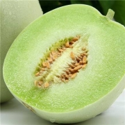 潼城鲜 山东头茬玉菇甜瓜冰淇淋甜瓜 带箱5-6斤