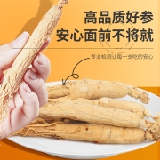 阿里大药房：10g 亚戈玛 人参野山参生晒参1枝