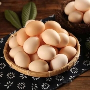京东极速版：黄河畔 新鲜土鸡蛋 10枚装