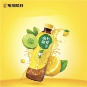 京东极速版：东鹏特饮 由柑柠檬茶果味茶饮料 330ml*6瓶