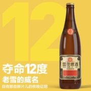 雪花啤酒 沈阳经典 老雪花 640mL*12瓶*2箱