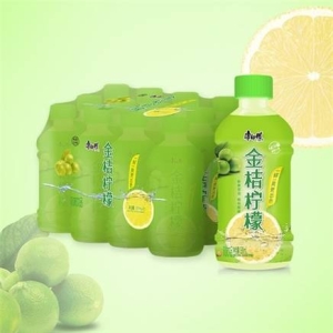 京東極速版康師傅冰綠茶金桔檸檬330ml6瓶