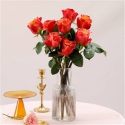 PLUS会员：FlowerPlus 花加 玫瑰10枝