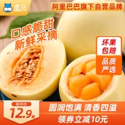 盒马鲜生 西北甜瓜 600g