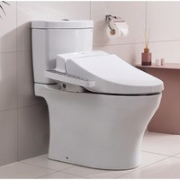 TOTO 东陶 CW982CBT+TCF345CS 卫洗丽智能组合 400MM
