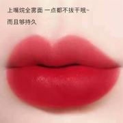 LANCOME 兰蔻 全新菁纯丝绒雾面唇膏505 1.6g