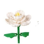 ZHEGAO 哲高 栀子花-85颗粒