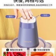 九阳 小型全自动绞肉机 2L大容量