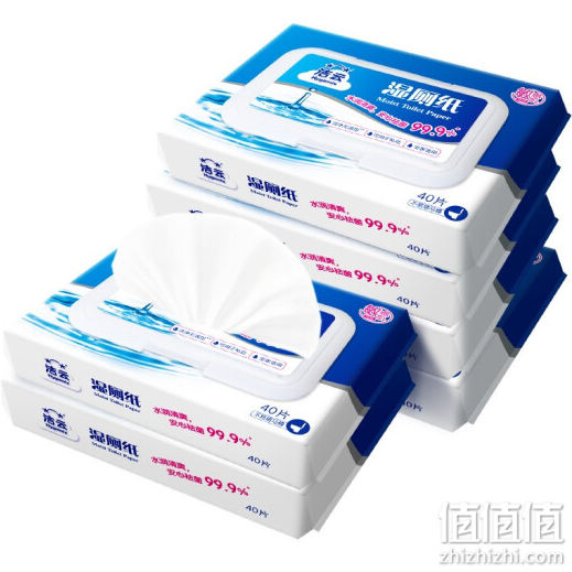 洁云( Hygienix)湿厕纸40片*6包 清洁湿纸巾湿巾