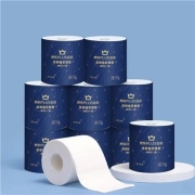 京喜APP、PLUS会员：Lam Pure 蓝漂 有芯卷纸 6层*140g*20卷*2件