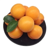 京东极速版：巧域 新鲜水果杏子 整箱3斤 净重2.5-3斤2.9（一元购券+2.9元）元（合2.9元/件）