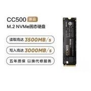 HIKVISION 海康威视 CC500系列 固态硬盘 M.2接口 1TB